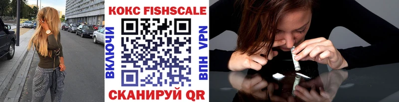 MEGA зеркало Эртиль Кокаин FishScale