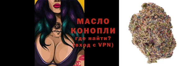 гидра Абаза