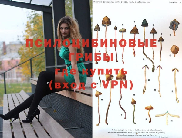 стафф Абинск