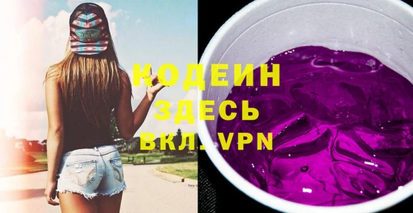 гидра Абаза